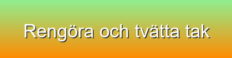 Rengöra och tvätta tak