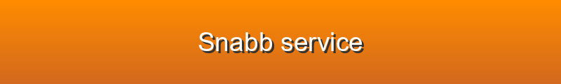 Snabb service